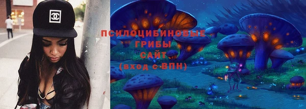 дживик Сосновка