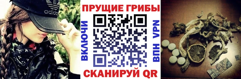 Галлюциногенные грибы мухоморы  Костерёво 